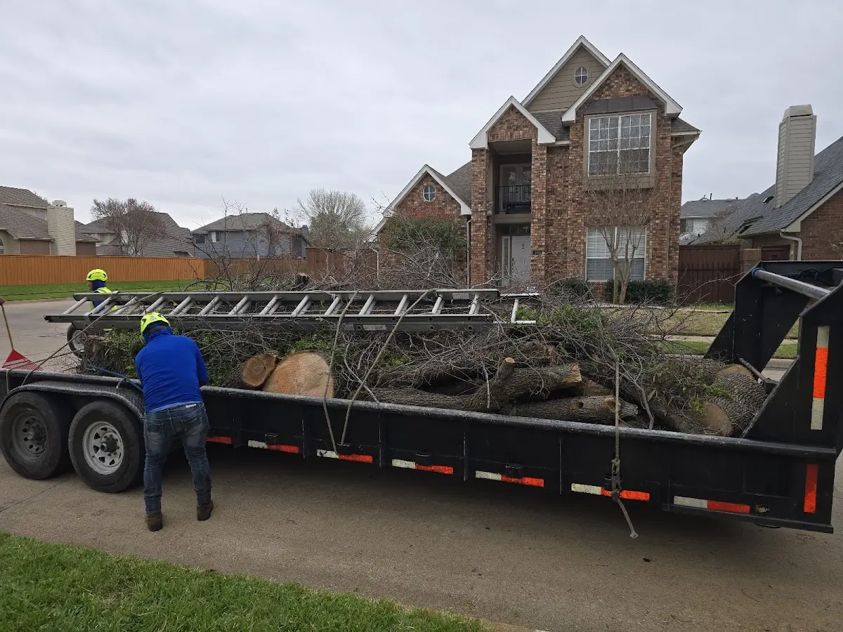 Expert Lot Clearing with proper safety equipment in Bluff City